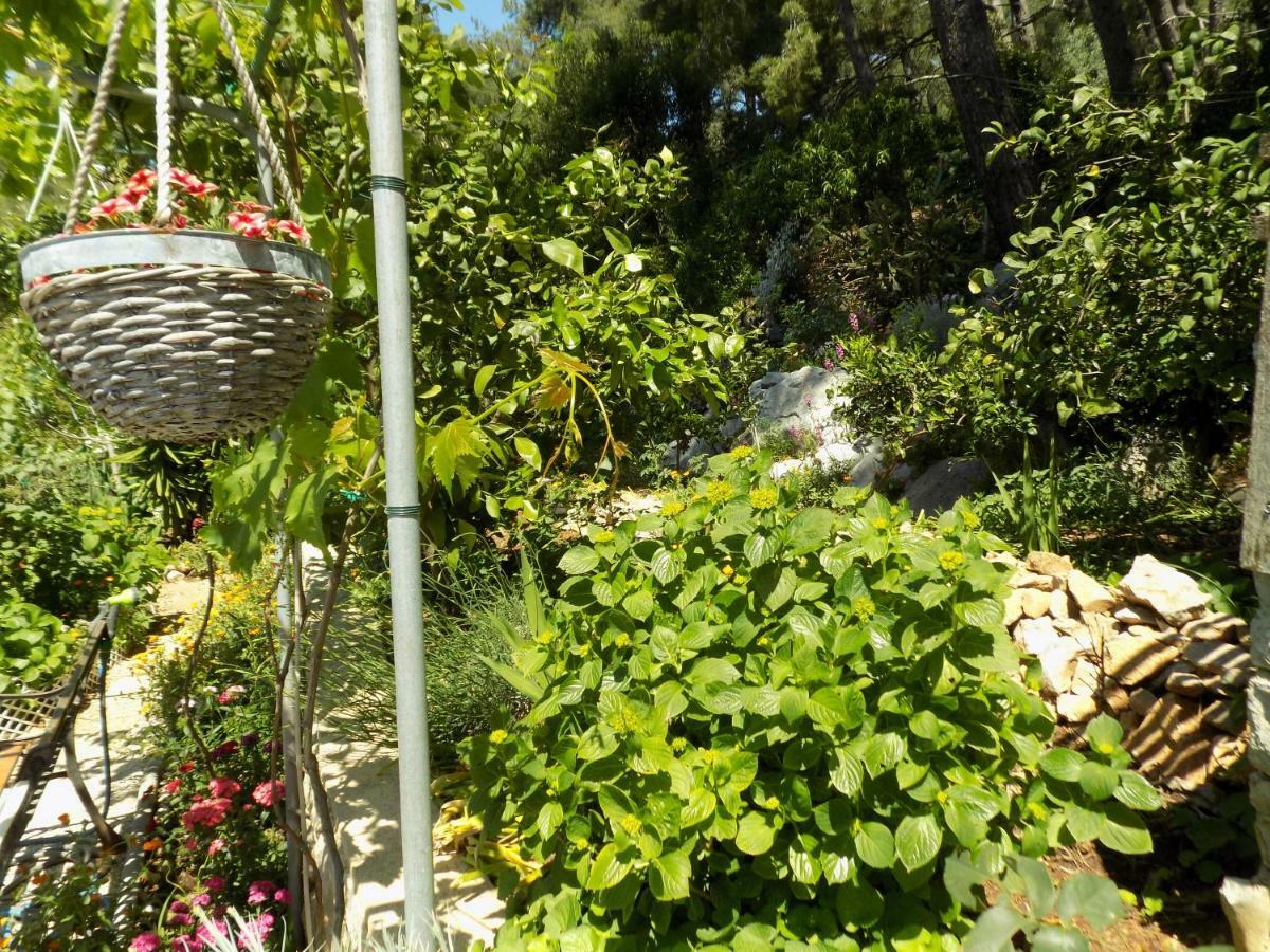 Apartments Zerjav Mali Lošinj Eksteriør billede